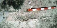 Cronica Cercetărilor Arheologice din România, Campania 2004. Raportul nr. 1