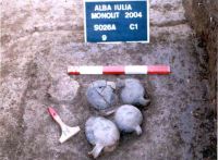 Cronica Cercetărilor Arheologice din România, Campania 2004. Raportul nr. 32