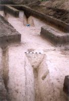 Cronica Cercetărilor Arheologice din România, Campania 2004. Raportul nr. 32