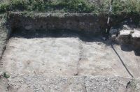 Cronica Cercetărilor Arheologice din România, Campania 2004. Raportul nr. 33