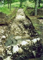 Cronica Cercetărilor Arheologice din România, Campania 2004. Raportul nr. 36