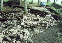 Cronica Cercetărilor Arheologice din România, Campania 2004. Raportul nr. 36