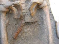 Cronica Cercetărilor Arheologice din România, Campania 2004. Raportul nr. 37