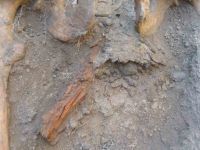 Cronica Cercetărilor Arheologice din România, Campania 2004. Raportul nr. 37