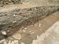 Cronica Cercetărilor Arheologice din România, Campania 2004. Raportul nr. 39