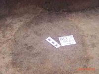 Cronica Cercetărilor Arheologice din România, Campania 2004. Raportul nr. 42