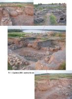 Cronica Cercetărilor Arheologice din România, Campania 2004. Raportul nr. 61