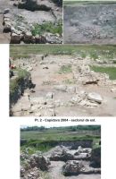 Cronica Cercetărilor Arheologice din România, Campania 2004. Raportul nr. 61