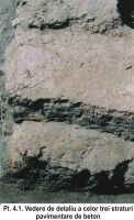 Cronica Cercetărilor Arheologice din România, Campania 2004. Raportul nr. 61