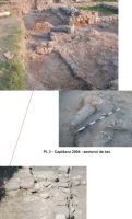 Cronica Cercetărilor Arheologice din România, Campania 2004. Raportul nr. 61