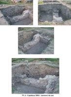 Cronica Cercetărilor Arheologice din România, Campania 2004. Raportul nr. 61