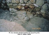 Cronica Cercetărilor Arheologice din România, Campania 2004. Raportul nr. 61