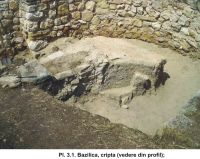 Cronica Cercetărilor Arheologice din România, Campania 2004. Raportul nr. 61