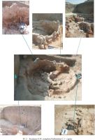 Cronica Cercetărilor Arheologice din România, Campania 2004. Raportul nr. 62