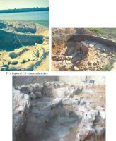 Cronica Cercetărilor Arheologice din România, Campania 2004. Raportul nr. 62