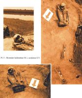 Cronica Cercetărilor Arheologice din România, Campania 2004. Raportul nr. 62