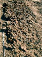 Cronica Cercetărilor Arheologice din România, Campania 2004. Raportul nr. 63