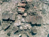 Cronica Cercetărilor Arheologice din România, Campania 2004. Raportul nr. 63