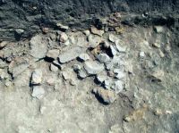 Cronica Cercetărilor Arheologice din România, Campania 2004. Raportul nr. 63