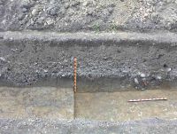 Cronica Cercetărilor Arheologice din România, Campania 2004. Raportul nr. 64