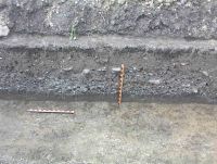 Cronica Cercetărilor Arheologice din România, Campania 2004. Raportul nr. 64