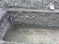 Cronica Cercetărilor Arheologice din România, Campania 2004. Raportul nr. 64