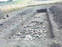 Cronica Cercetărilor Arheologice din România, Campania 2004. Raportul nr. 64