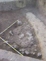 Cronica Cercetărilor Arheologice din România, Campania 2004. Raportul nr. 68