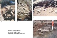 Cronica Cercetărilor Arheologice din România, Campania 2004. Raportul nr. 83