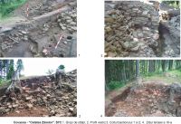 Cronica Cercetărilor Arheologice din România, Campania 2004. Raportul nr. 83
