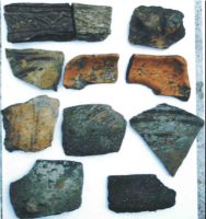 Cronica Cercetărilor Arheologice din România, Campania 2004. Raportul nr. 84
