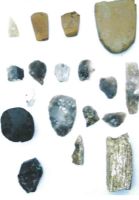 Cronica Cercetărilor Arheologice din România, Campania 2004. Raportul nr. 84