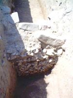 Cronica Cercetărilor Arheologice din România, Campania 2004. Raportul nr. 86