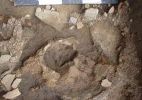 Cronica Cercetărilor Arheologice din România, Campania 2004. Raportul nr. 96