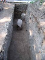Cronica Cercetărilor Arheologice din România, Campania 2004. Raportul nr. 97