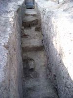 Cronica Cercetărilor Arheologice din România, Campania 2004. Raportul nr. 97