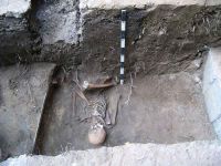 Cronica Cercetărilor Arheologice din România, Campania 2004. Raportul nr. 97