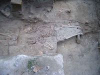 Cronica Cercetărilor Arheologice din România, Campania 2004. Raportul nr. 97