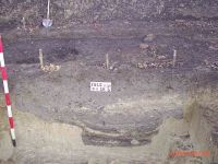 Cronica Cercetărilor Arheologice din România, Campania 2004. Raportul nr. 100