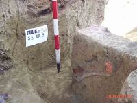 Cronica Cercetărilor Arheologice din România, Campania 2004. Raportul nr. 100