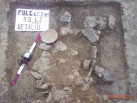 Cronica Cercetărilor Arheologice din România, Campania 2004. Raportul nr. 100
