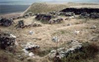Cronica Cercetărilor Arheologice din România, Campania 2004. Raportul nr. 102