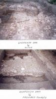 Cronica Cercetărilor Arheologice din România, Campania 2004. Raportul nr. 107