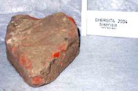 Cronica Cercetărilor Arheologice din România, Campania 2004. Raportul nr. 107