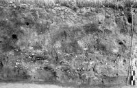 Cronica Cercetărilor Arheologice din România, Campania 2004. Raportul nr. 109