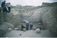 Cronica Cercetărilor Arheologice din România, Campania 2004. Raportul nr. 112