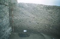 Cronica Cercetărilor Arheologice din România, Campania 2004. Raportul nr. 112
