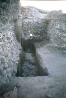 Cronica Cercetărilor Arheologice din România, Campania 2004. Raportul nr. 112