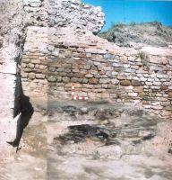 Cronica Cercetărilor Arheologice din România, Campania 2004. Raportul nr. 122