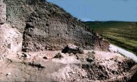 Cronica Cercetărilor Arheologice din România, Campania 2004. Raportul nr. 122